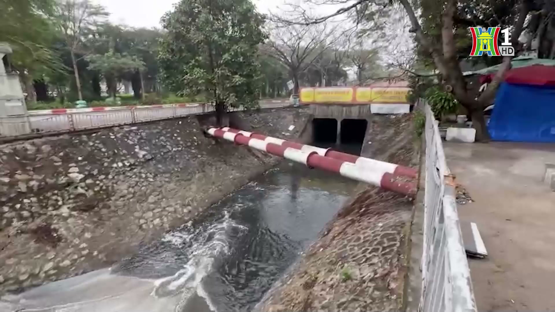 Sống lại dòng sông 'chết' | Chính quyền đô thị | 18/04/2025
